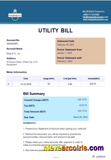 BANGLADESH WAZIPADICO POWER business utility bill